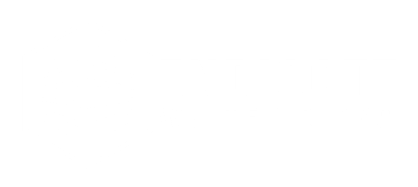 Endicott White Bricks